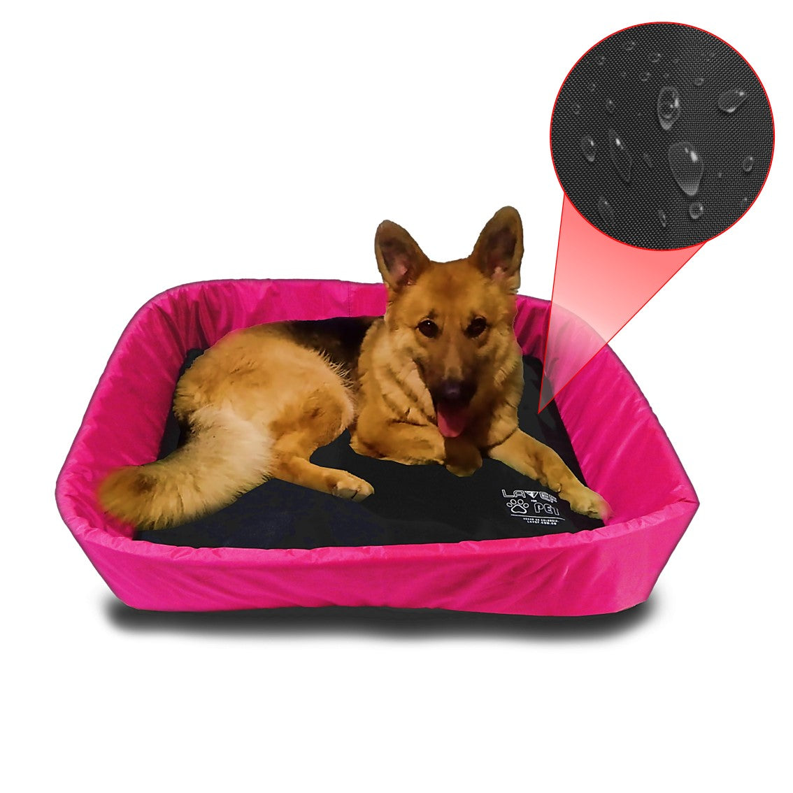 Cama Mascota Con Borde Antifluido Y Antirrasguños